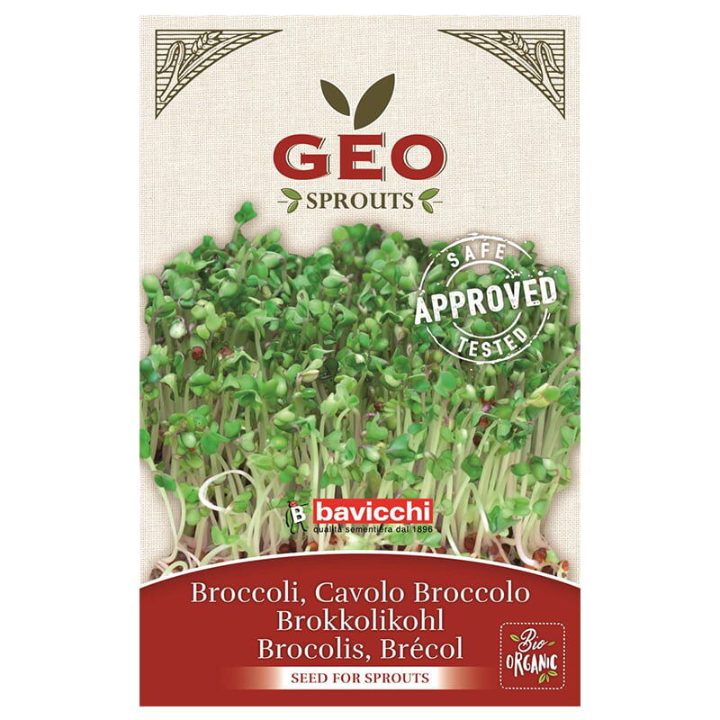 Broccolifrö EKO 13g